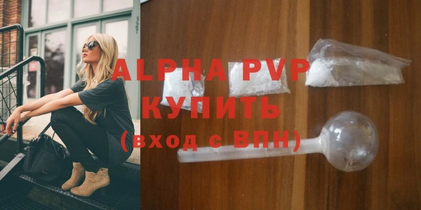стафф Арсеньев