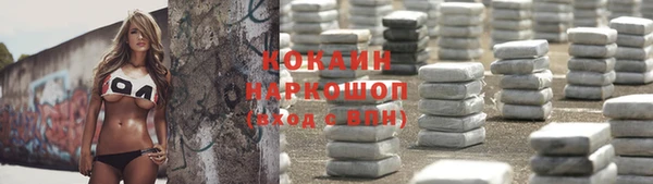 стафф Арсеньев